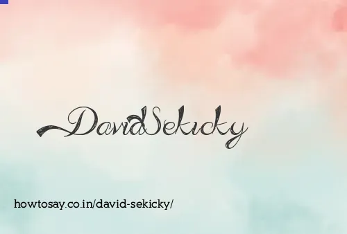 David Sekicky