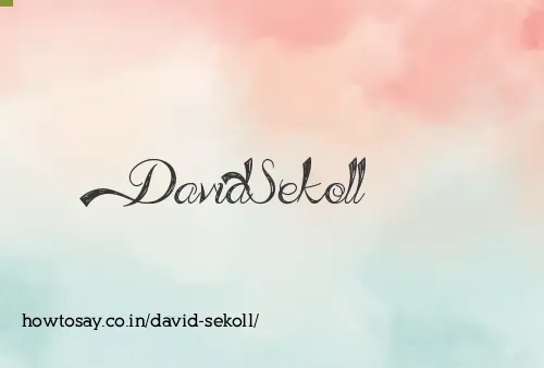 David Sekoll