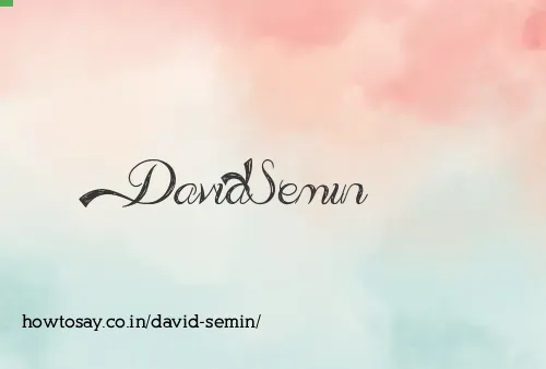 David Semin