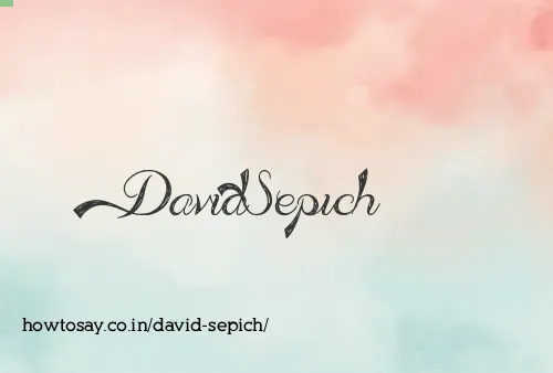David Sepich