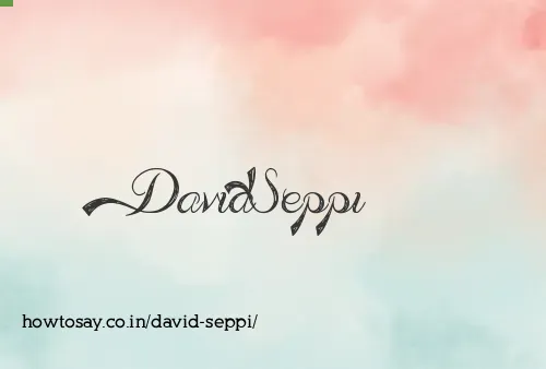 David Seppi