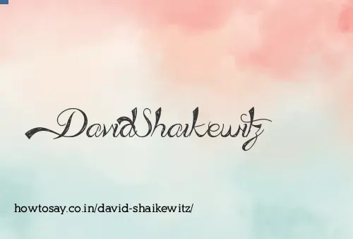 David Shaikewitz