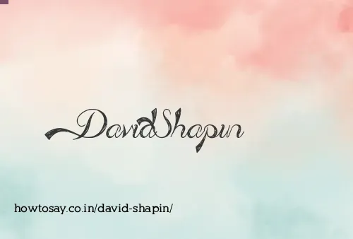 David Shapin