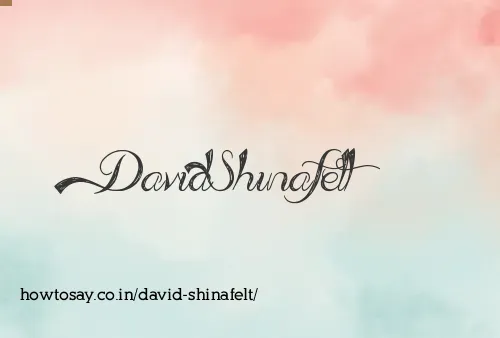 David Shinafelt