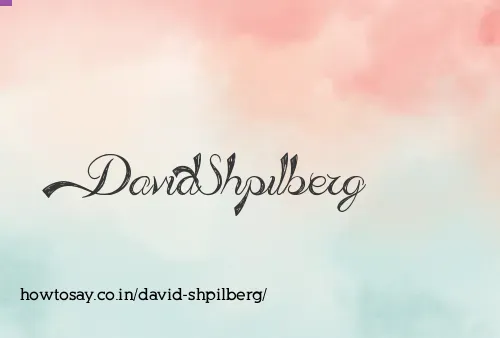 David Shpilberg