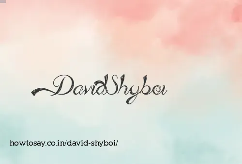 David Shyboi