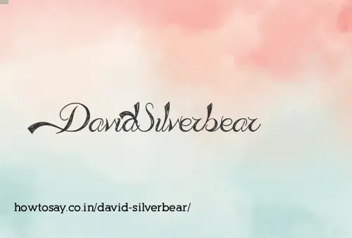 David Silverbear