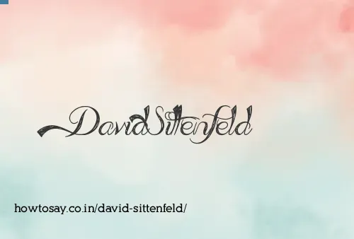 David Sittenfeld