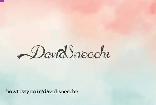 David Snecchi