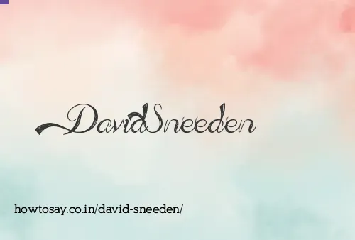 David Sneeden