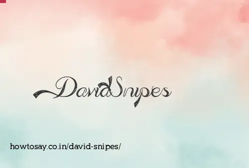 David Snipes