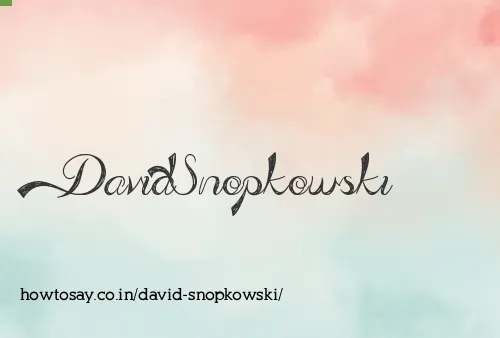 David Snopkowski