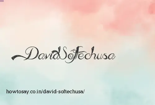 David Softechusa