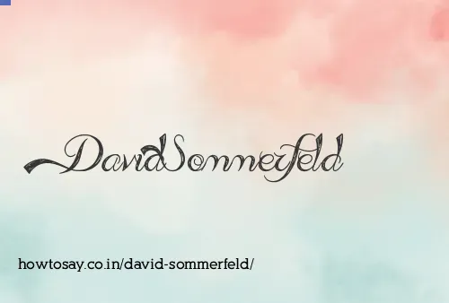 David Sommerfeld