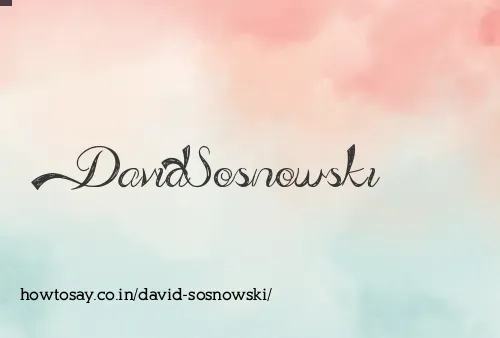 David Sosnowski