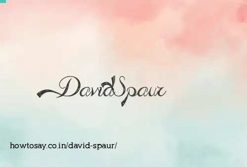 David Spaur