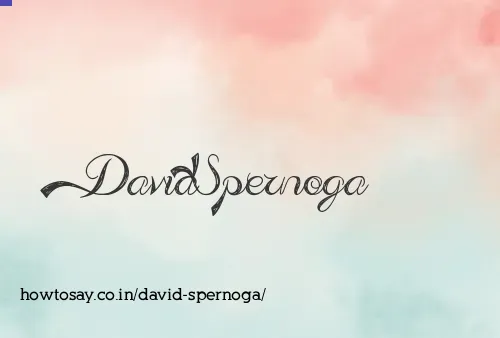 David Spernoga