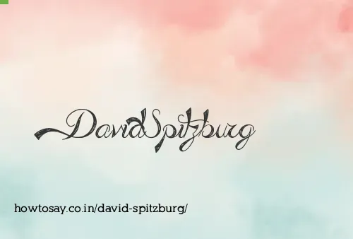 David Spitzburg