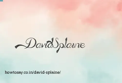 David Splaine