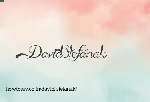 David Stefanak