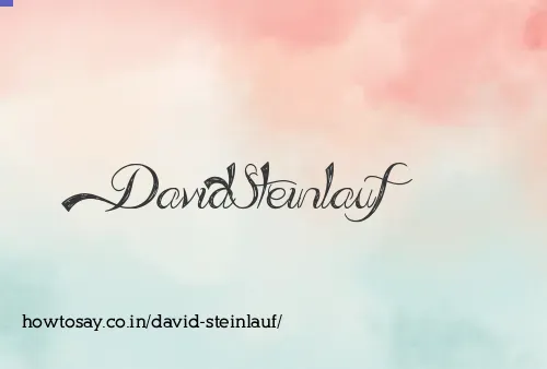 David Steinlauf
