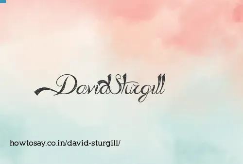 David Sturgill