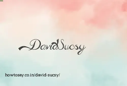 David Sucsy