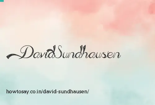 David Sundhausen
