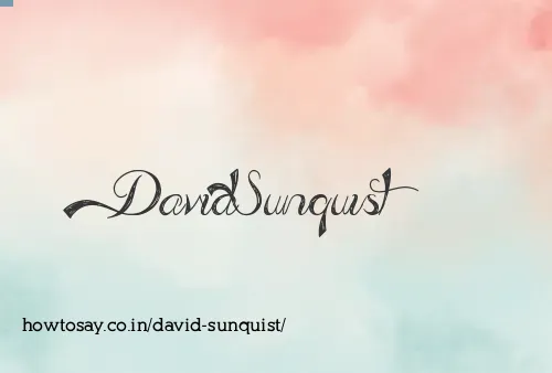 David Sunquist
