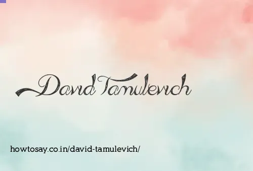 David Tamulevich