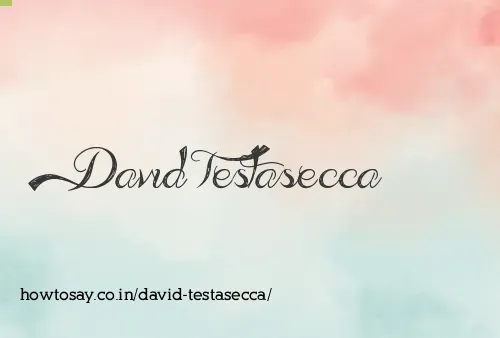 David Testasecca