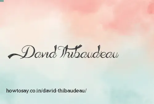 David Thibaudeau