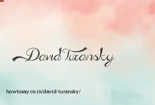 David Turansky