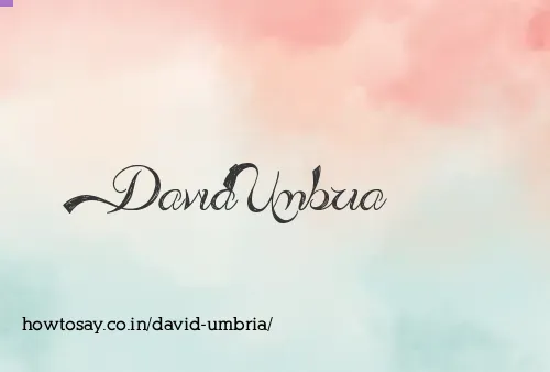 David Umbria