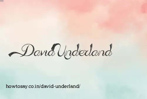 David Underland