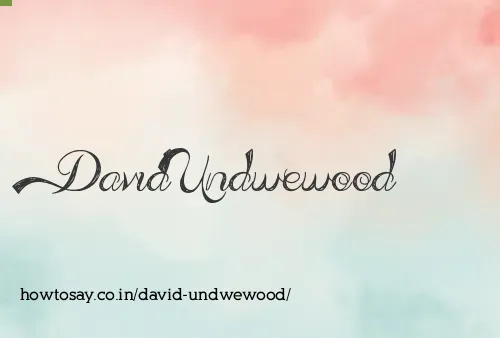 David Undwewood