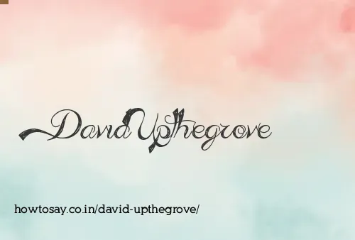 David Upthegrove