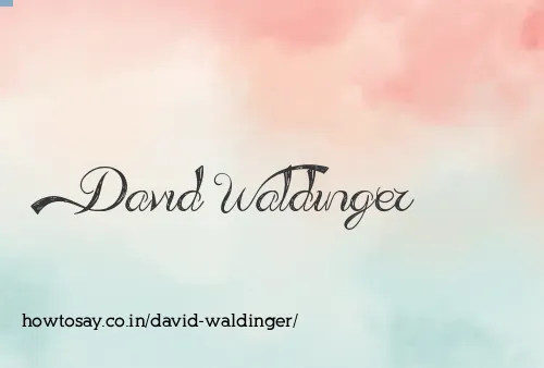 David Waldinger