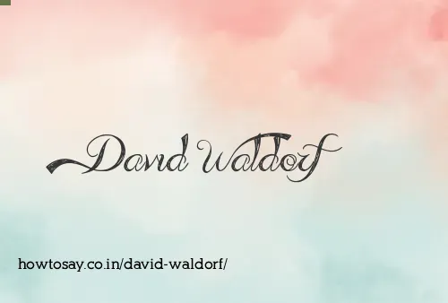 David Waldorf