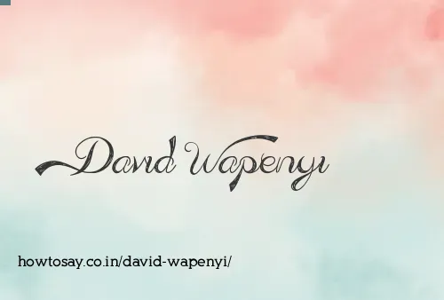 David Wapenyi