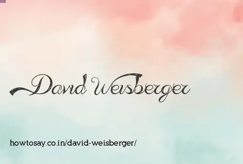 David Weisberger