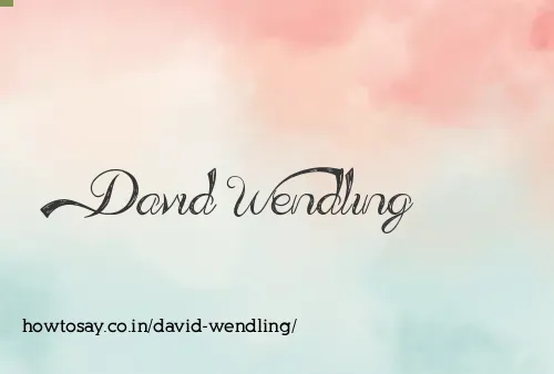David Wendling