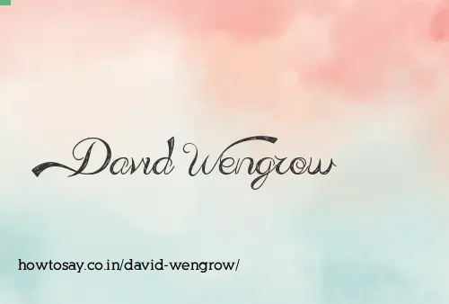 David Wengrow