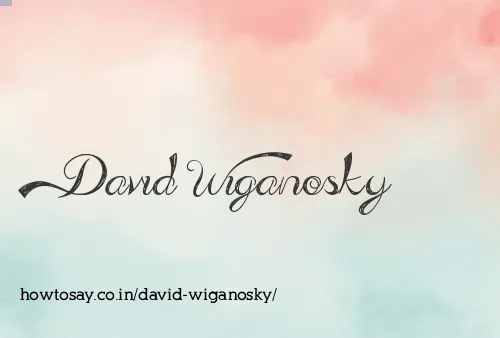 David Wiganosky