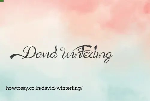 David Winterling