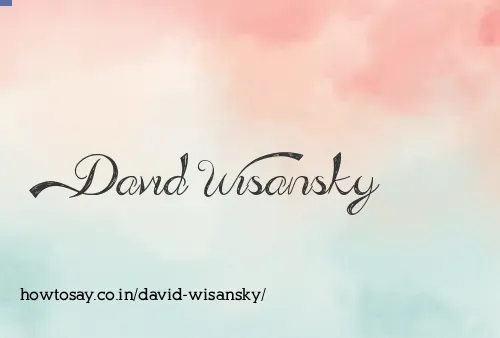 David Wisansky