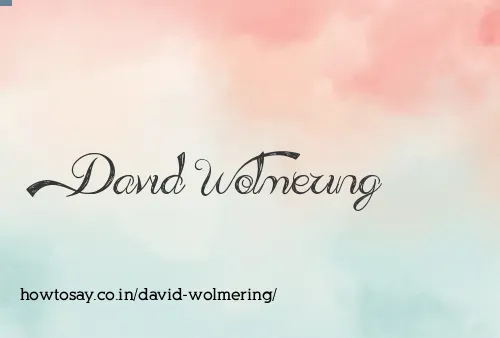 David Wolmering