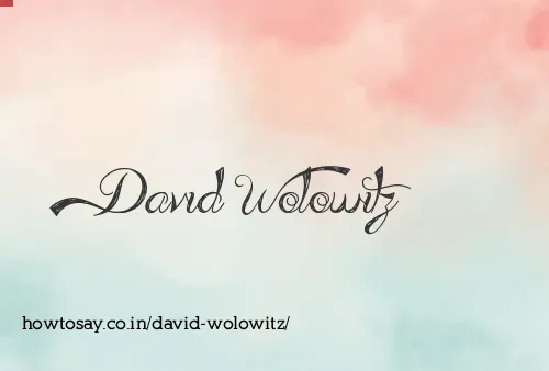 David Wolowitz