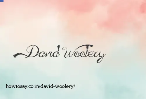 David Woolery