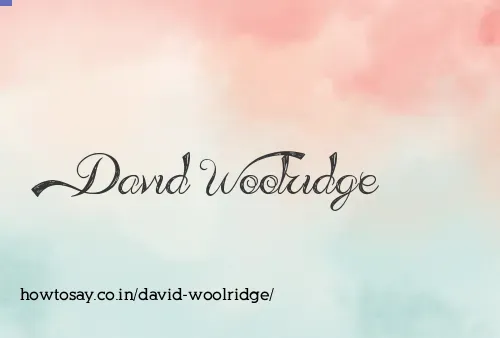 David Woolridge